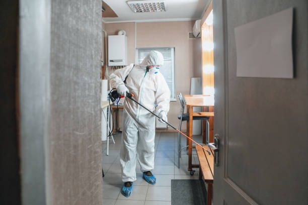 Reliable Haslet, TX Mold Removal Solutions